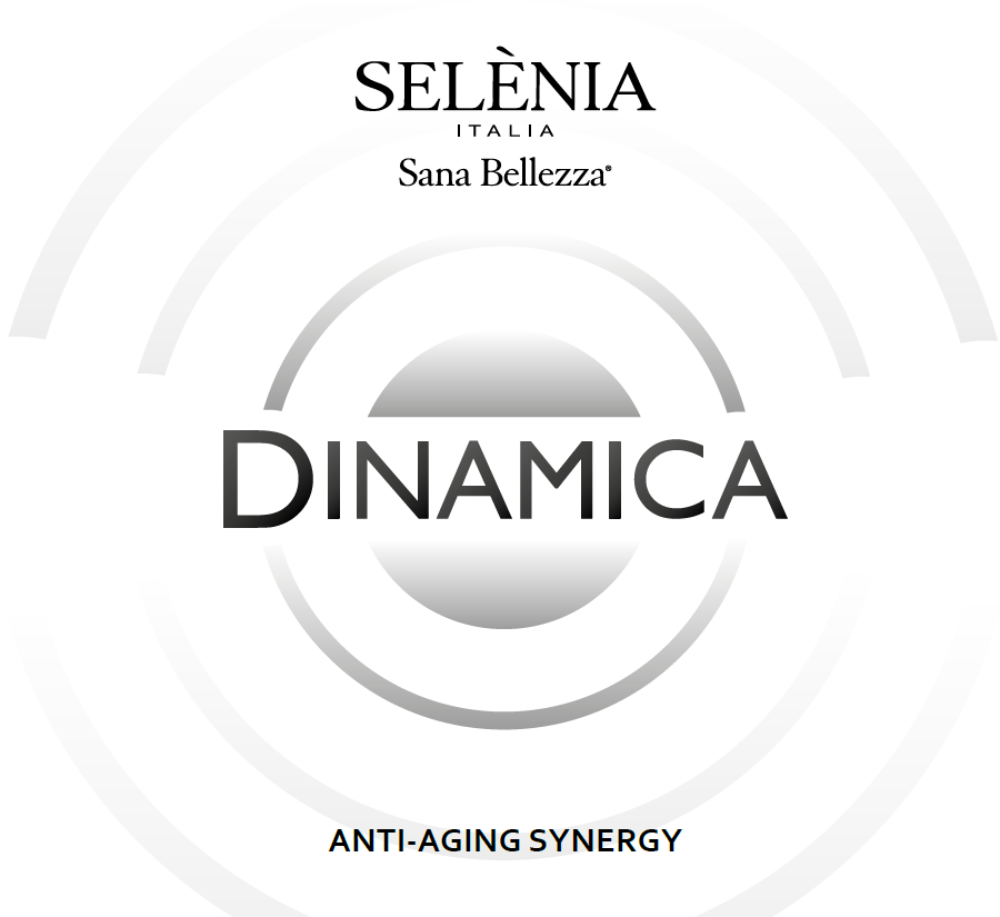 Dinamica