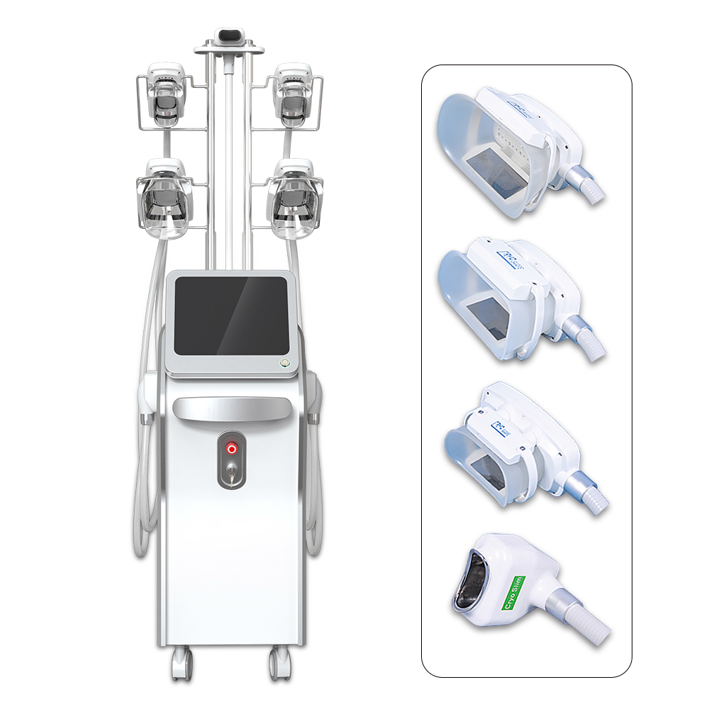 Machine Cryolipolyse dernière génération